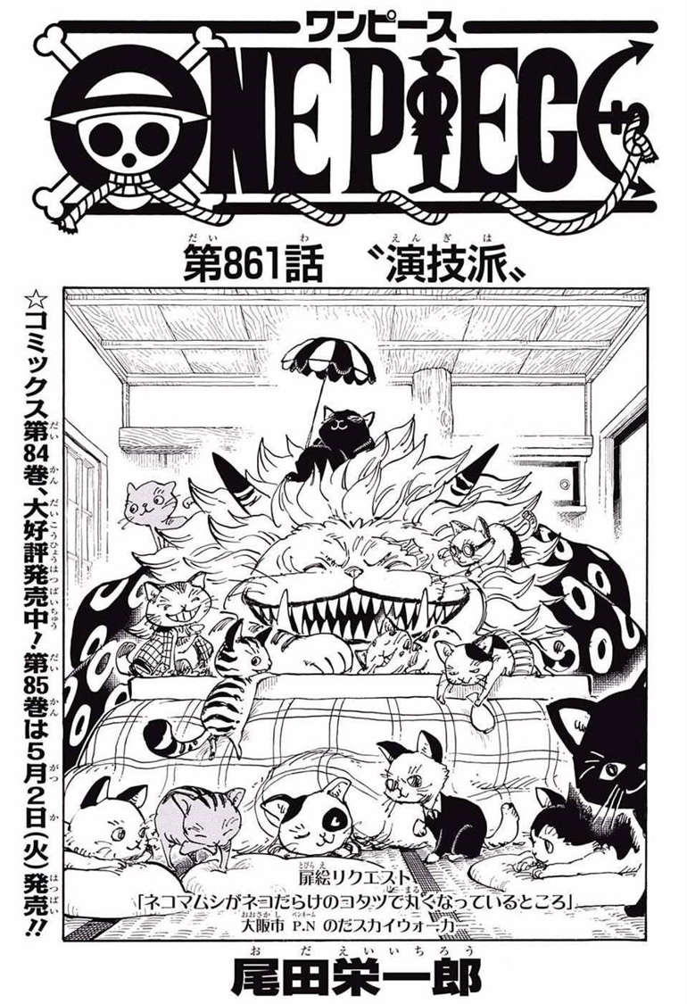 100以上 One Piece 861