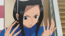 Nico Robin/History/During and After the Timeskip | One Piece Wiki ...