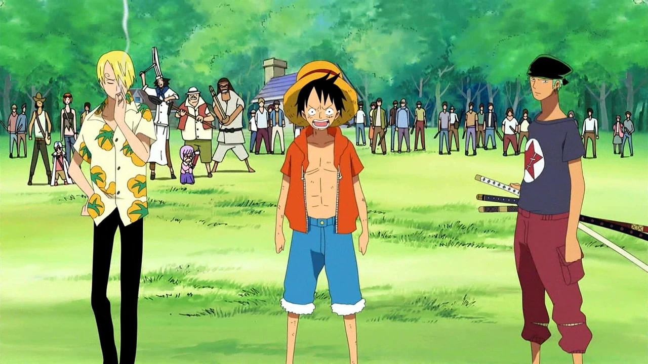 One Piece Freunde Fürs Leben