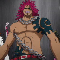 Mad Treasure One Piece Wiki Fandom