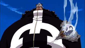 Orso Bartholomew One Piece Wiki Italia Fandom