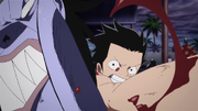 Luffy punces Alrong