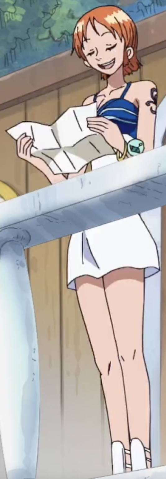 nami pre timeskip figure