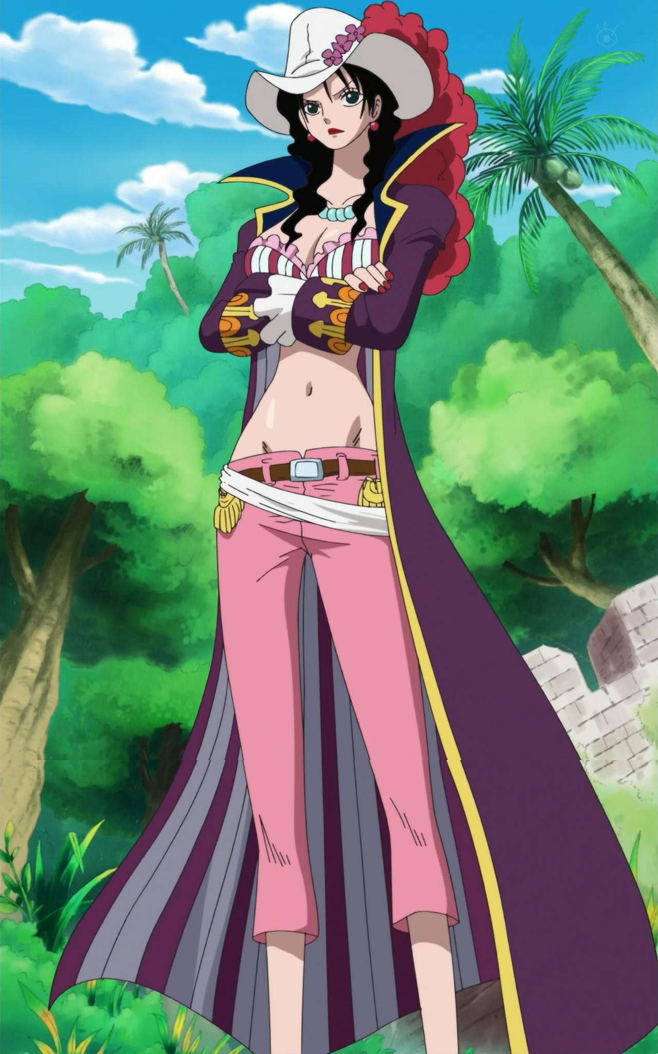 Imagem 20131112020524alvida Anime Infoboxpng One Piece Wiki Fandom Powered By Wikia 6500