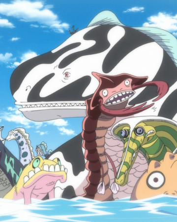 Sea King One Piece Wiki Fandom