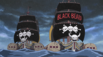 Blackbeard Pirates One Piece Wiki Fandom