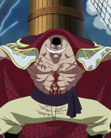 Gura Gura No Mi One Piece Wiki Fandom