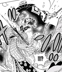 Kozuki Hiyori | One Piece Encyclopédie | Fandom