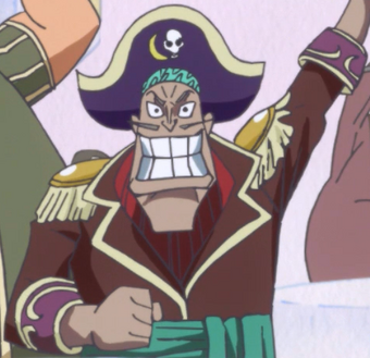 Gally One Piece Wiki Fandom