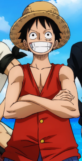 Monkey D. Luffy Anime Pre Timeskip Infobox