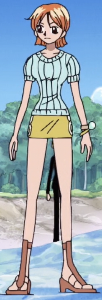 nami pre timeskip figure
