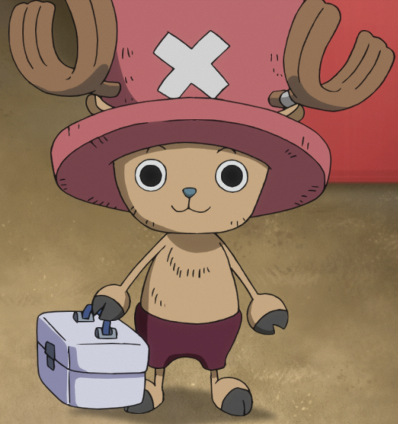 One Piece Chopper Hiding 