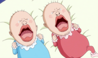 Chiffon e Laura neonate