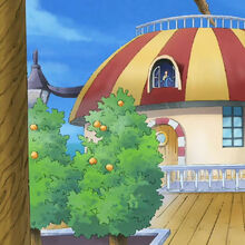 Thousand Sunny Onepiecepedia Fandom