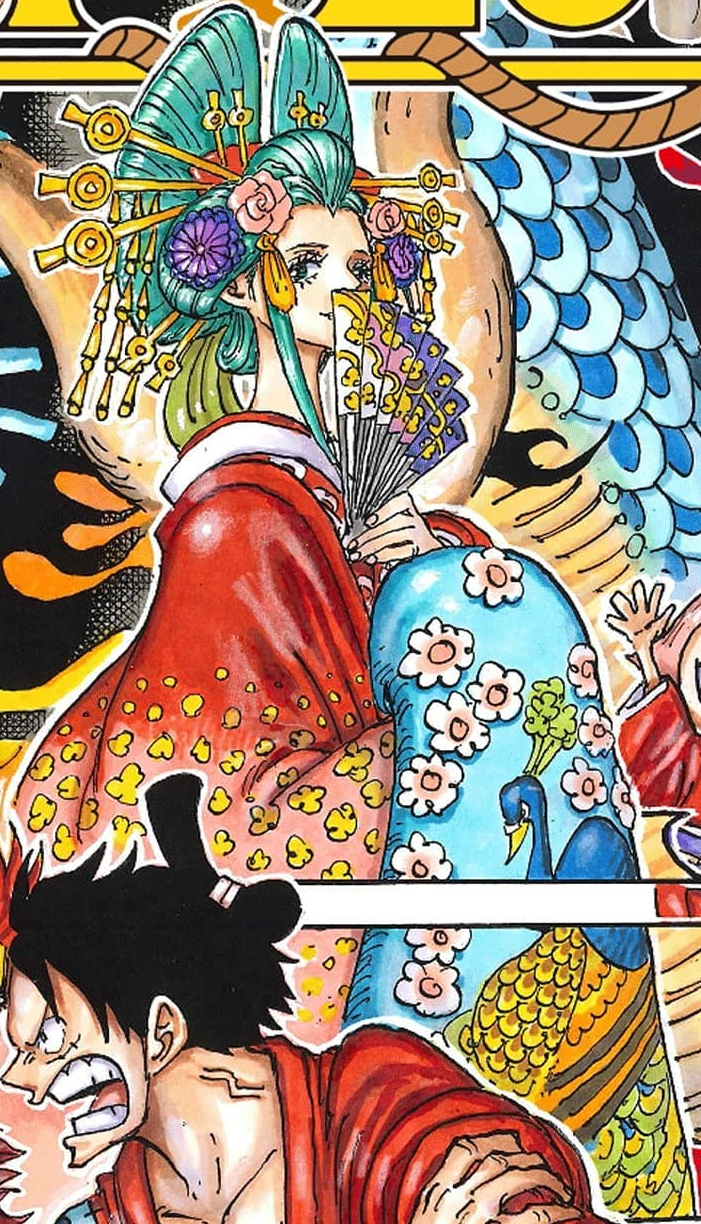 Kozuki Hiyori One Piece Wiki Fandom