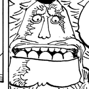 Ohara One Piece Wiki Fandom