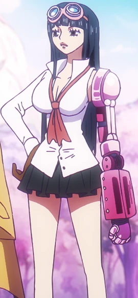 Ahiru  One Piece Wiki  Fandom