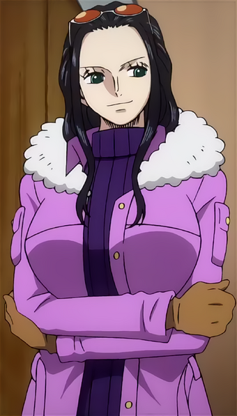 Nico Robin Gallery One Piece Wiki Fandom