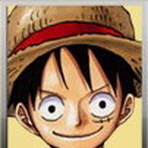 モンキー D ルフィ One Piece Wiki Fandom
