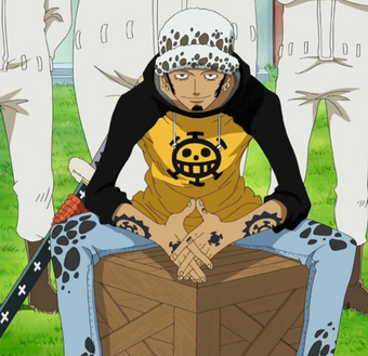 Trafalgar D Water Law Wikia One Piece Fandom