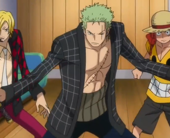 Roronoa Zoro Gallery One Piece Wiki Fandom