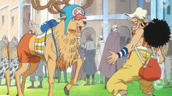 Chopper se reencuentra con Usopp