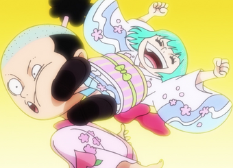 Kozuki Hiyori One Piece Wiki Fandom