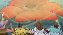Rafflesia