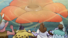 Rafflesia