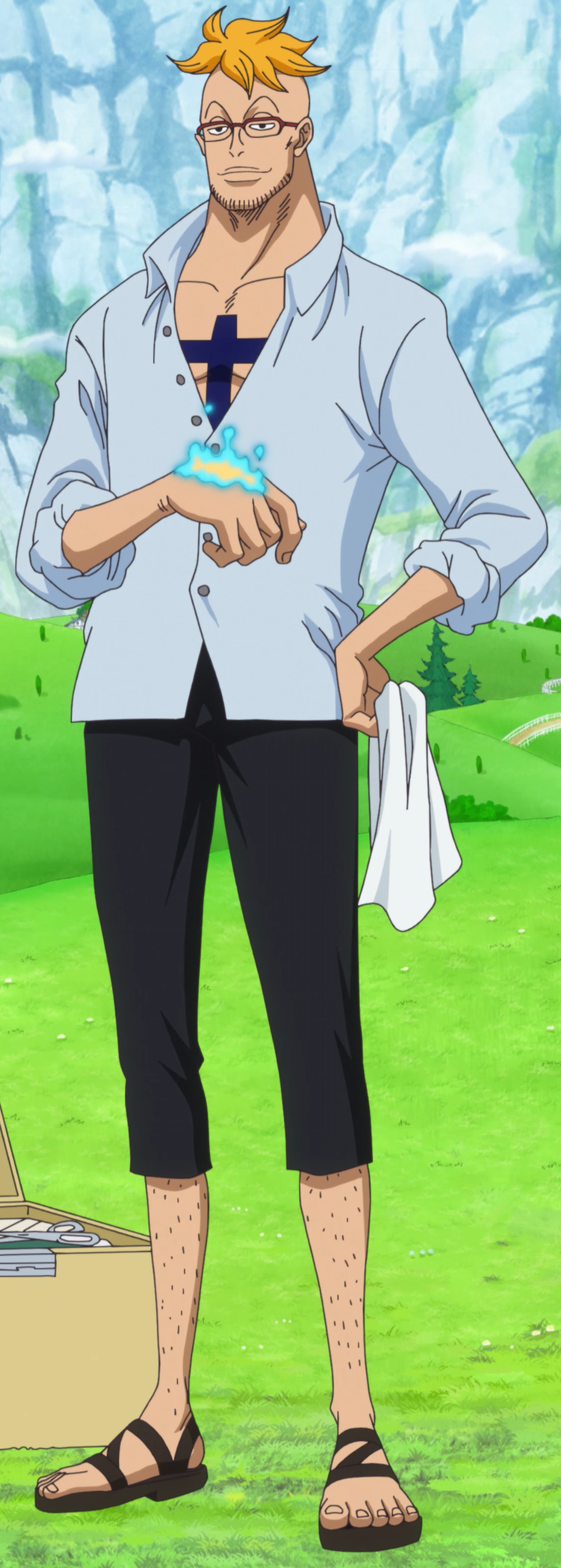 Marco One Piece Encyclopedie Fandom