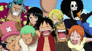 Straw Hat Pirates