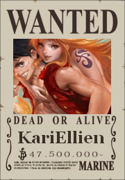 KariEllien Wanted Poster