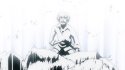 Zabo Engulfed by Light
