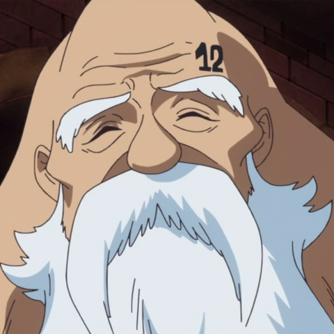 Image Chinjao Portrait png Wikia One Piece FANDOM 