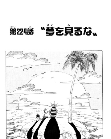 Chapter 224 One Piece Wiki Fandom