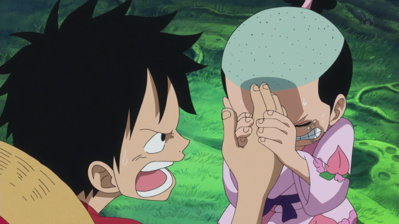 Kozuki Momonosuke One Piece Wiki Fandom