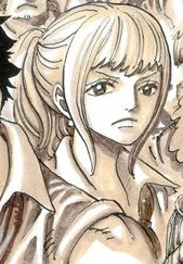 Tsuru One Piece Wiki Fandom