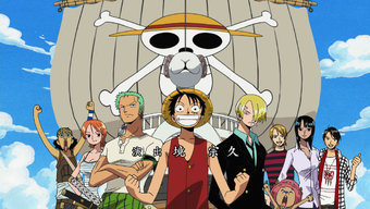 Crazy Rainbow One Piece Wiki Fandom