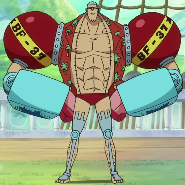 Franky One Piece Encyclopédie Fandom