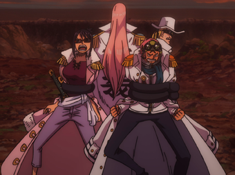 Hina One Piece Wiki Fandom