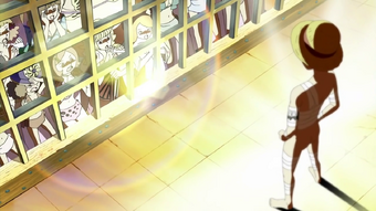 Amazon Lily Arc One Piece Wiki Fandom