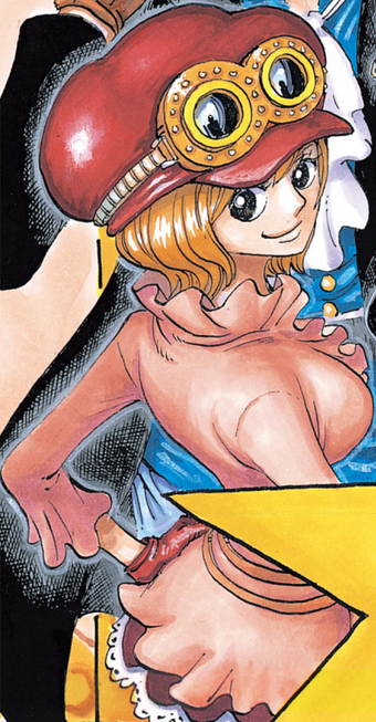 Koala One Piece Wiki Fandom