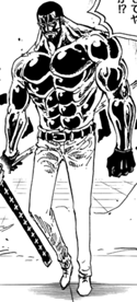 125px-Vergo Full Body Haki