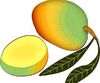 Rainbow mango