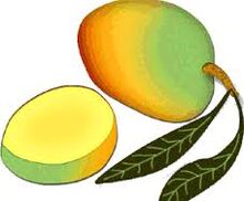 Rainbow mango