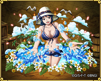 one piece treasure cruise swimsuit