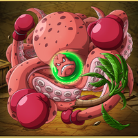 Octopus Boxer Sea Animal Pirates One Piece Treasure Cruise Wiki Fandom