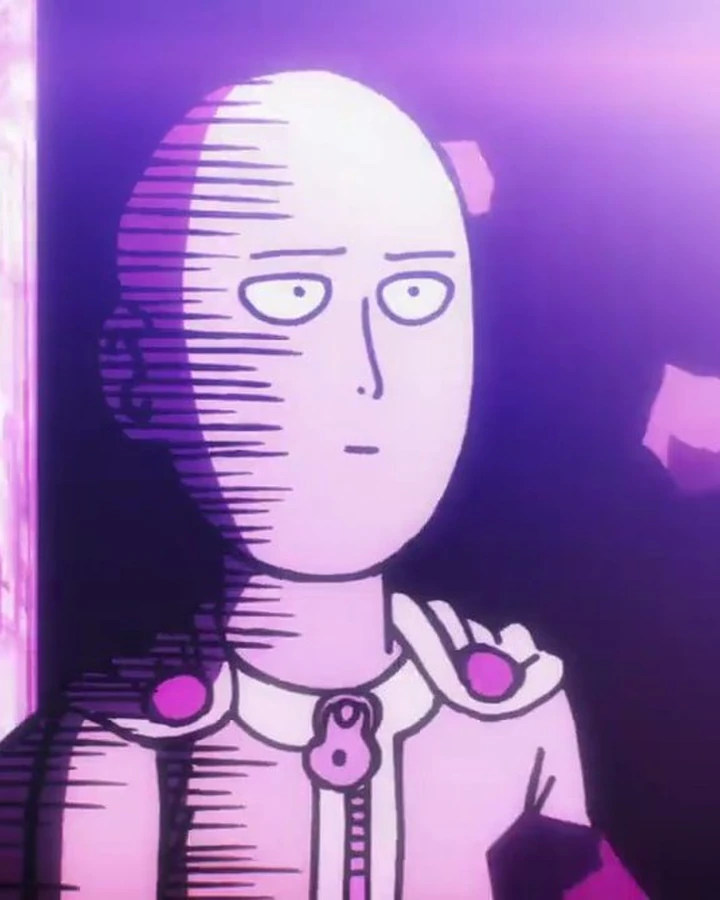 Saitama One Punch Anime Database Wiki Fandom