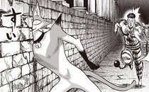 Nyan slips through crack