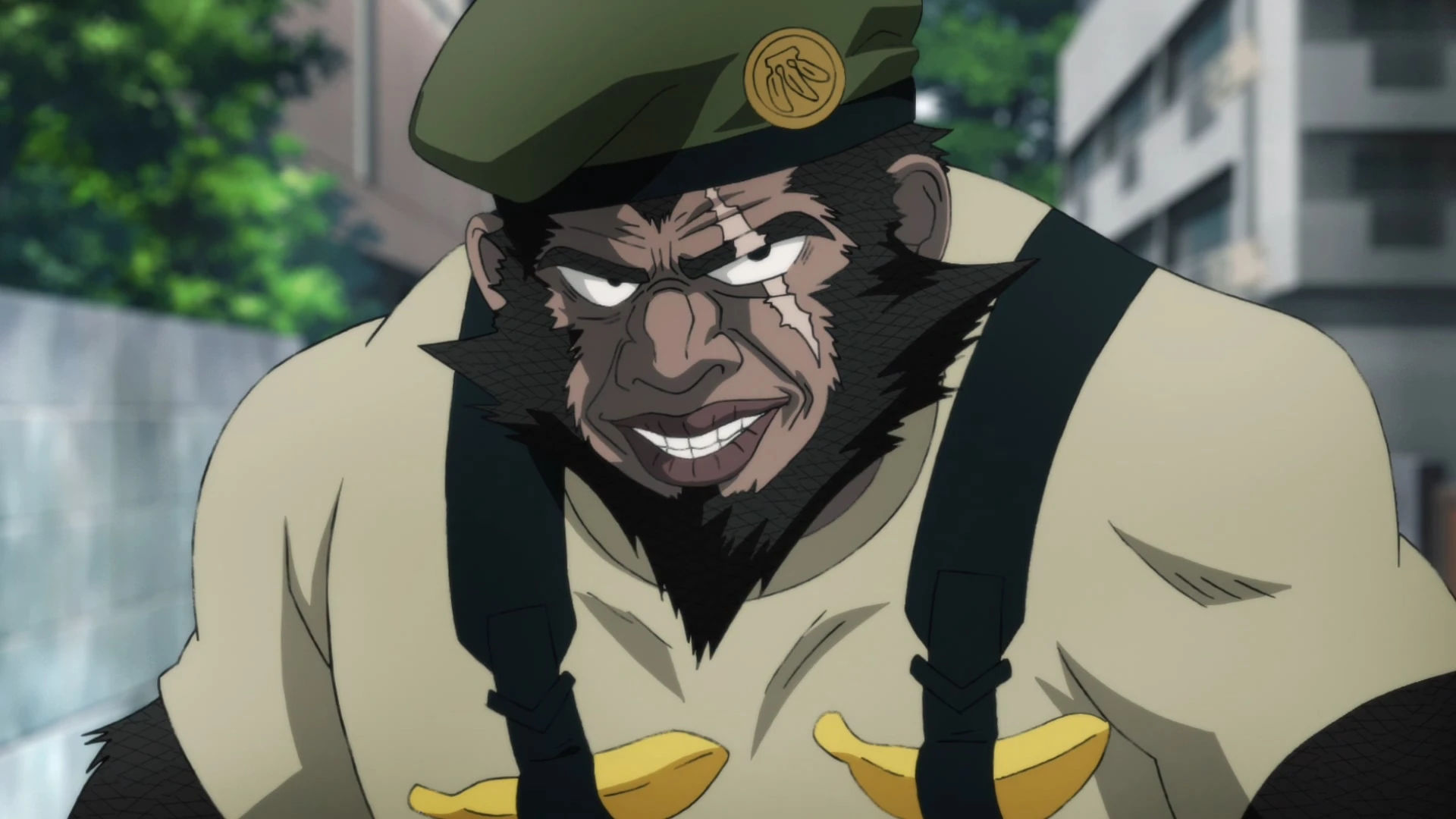 Marshall Gorilla OnePunch Man Wiki Fandom
